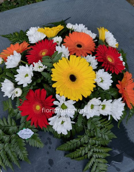 Composizione gerbere margherite 