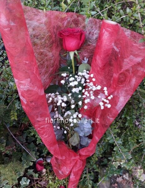 Rosa rossa gambo lungo 