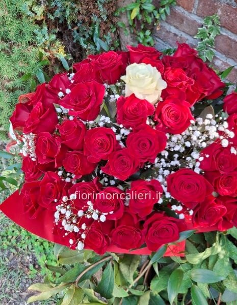 50 ROSE ROSSE