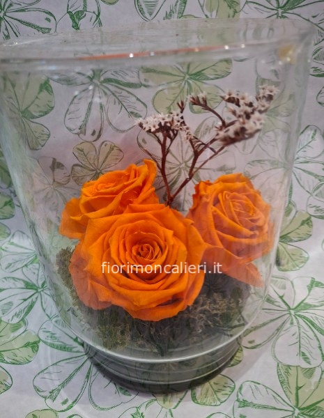 Rose stabilizzate in vetro